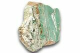 Polished Green Magneprase Section - Western Australia #240126-1